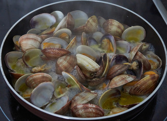 clams