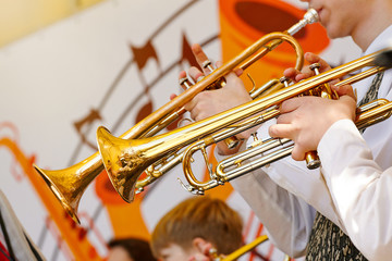 A closeup of several trumpeters playing in a brass band - obrazy, fototapety, plakaty