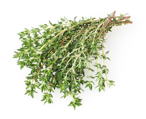 Fresh thyme isolated on white background