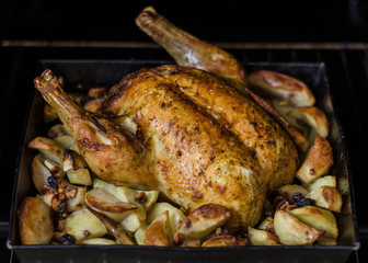 Roasted whole chicken. Easter concept