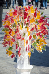 Sweet lollipops collected in the form of a tree.