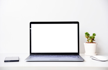 Fototapeta premium blank screen Modern laptop computer with mouse,Smart phone and Succulent on wood table in office view backgrounds