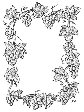 Bunch of grapes frame with leaves sketch engraving vector illustration. Scratch board style imitation. Hand drawn image.