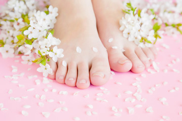 Obraz na płótnie Canvas Young, perfect woman's feet on pastel pink background. Care about clean, soft, smooth skin. Pedicure and manicure beauty salon. Beautiful branches of white cherry blossoms and petals. Fresh flowers. 