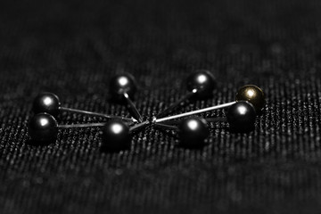 Obraz premium Black pin