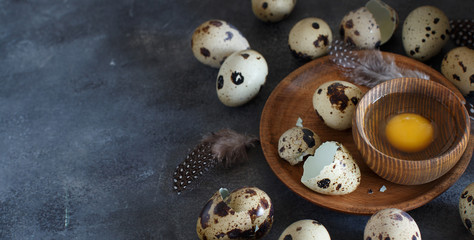 Obraz premium Quail eggs close up