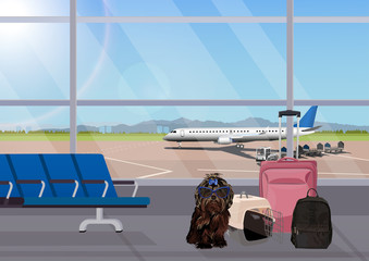 Airport waiting room, dog in the foreground. Terminal interior, panoramic window, airplane. Time to travel. Travel concept, vector illustration.