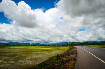 road in the field