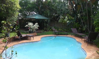 une piscine dans un jardin exotique