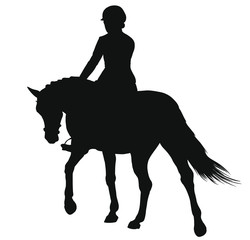 Silhouette of a rider on the pony from behind.
