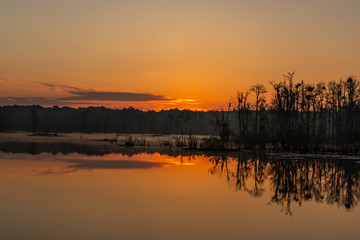 Fototapeta na wymiar A Beautiful Morning Sunrise Landscape in South Carolina