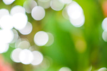Obraz premium Abstract green bokeh background for nature decoration