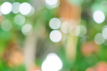 Obraz premium Abstract green bokeh background for nature decoration
