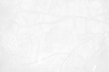 White Grunge Wall Texture Background.