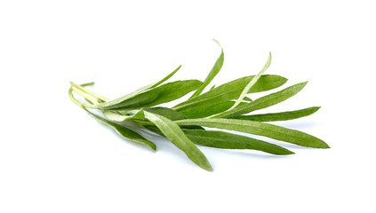 Fototapeta premium Tarragon leaves in closeup - Изображение