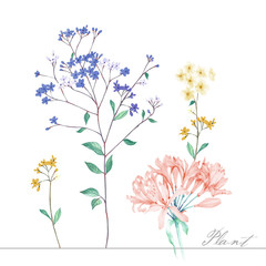 Watercolor set beautiful bouquets