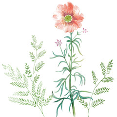 Watercolor set beautiful bouquets