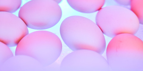 abstraction neon eggs painted network filters, no focus, blur