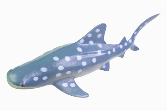 figure toy Whale Shark isolated closeup image.