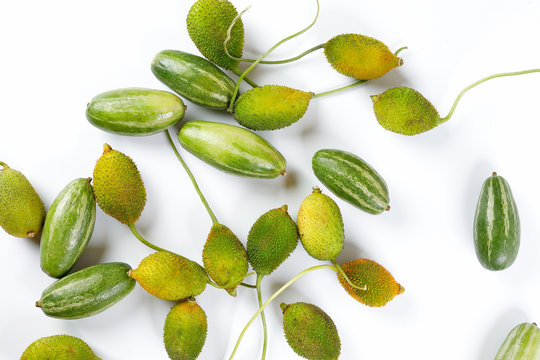 pointed gourd potol Spiny gourd green fruit vegetable kakrol on white background