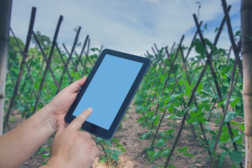 Hand hold a tablet with nature background.