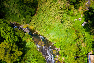 Bach und Bäume auf den Azoren aus der Luft