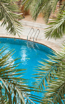 Swimming pools surrounded by palm trees and lush evergreen in a tropical plants garden