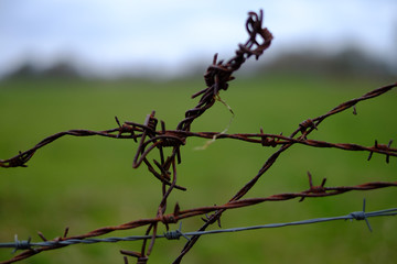 Alter Stacheldraht an der Grenze
