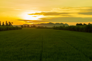 Obraz premium Mountain view landscape of Thailand countryside on morning. Full of green nature. Of trees and rice plots The sun shines through the hills. cloud sky and fog Water reflection