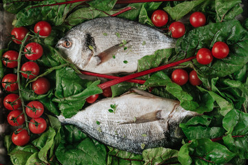 Fresh Dorado fish with tomatoes and herbs prepared for baking on a baking sheet