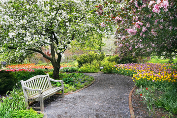beautiful garden pathway