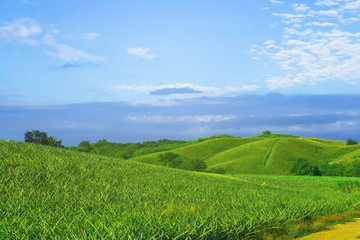 Mountain view landscape of Thailand countryside on morning. Full of green nature pineapple farm and beautiful cloud