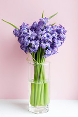 Purple hyacinths in a glass cup on a pastel background