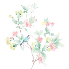 Colorful flower on white background,Mother's Day, wedding, birthday, Easter, Valentine's Day, Pastel colors