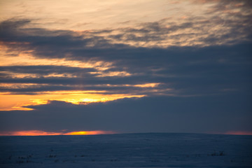 sunset in winter tundra, Russia, 2019