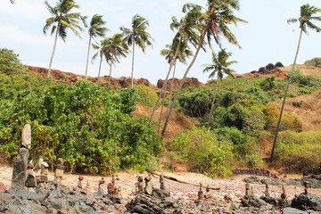 rock beach coconut tree