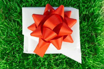 A white wrapped gift with a red bow on a green meadow, copy space