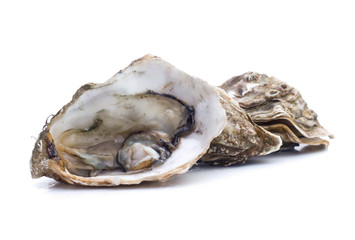 Fresh  oyster on white background