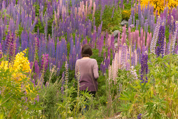 Relaxed young, casual, hispanic woman with short hair, walking in the woods, exploring a forest near the mountains in Patagonia, Argentina, full with colorful wild flowers, with copy space