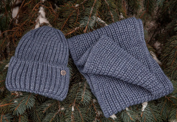 Dark blue hat and scarf on pine tree