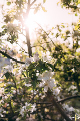 9. Frühlingsgefühl