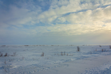 winter tundra, Russia, 2019