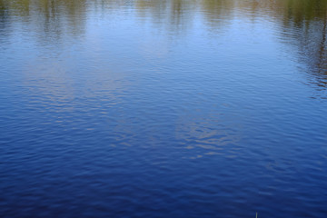 Blauer See im Wald