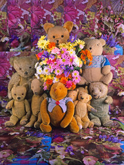  Teddy Bears Specially for you on your.....Mothers day, .Birthday, Special Day, With Love, Be Happy or on a special occassion from the gang