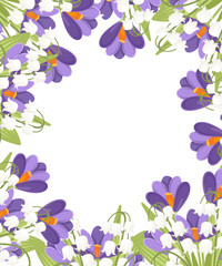 Purple Crocus and white Convallaria majalis. Green flower pattern, grass. Flat vector illustration on white background