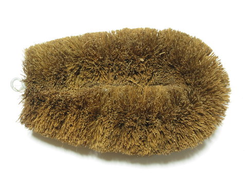 428 最適な たわし 画像 ストック写真 ベクター Adobe Stock