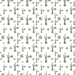 Fototapeta na wymiar Narcissus doodle seamless pattern. Flowers backdrop. Hand drawn flowers narcissus on white background. 