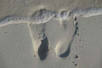pas dans la mer