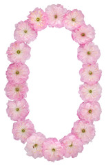 Numeral 0, zero, from natural pink flowers of almond tree, isolated on white background