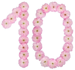 Numeral 10, ten, from natural pink flowers of almond tree, isolated on white background